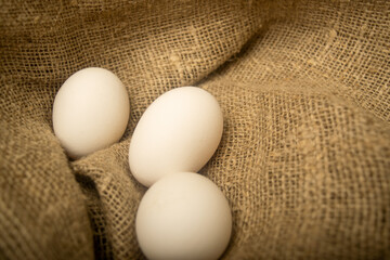 White chicken eggs on a background of homespun fabric with a rough texture. Close up.