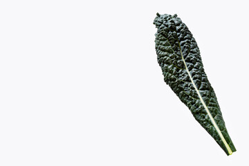 Kale cabbage leaves - Brassica oleracea var