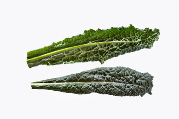 Tuscan black Kale - Brassica oleracea var