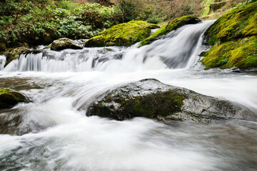 竜頭八重滝県立自然公園の美しい清流（島根県）