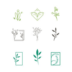 set of floral leaf logo design template, nature brand logotype