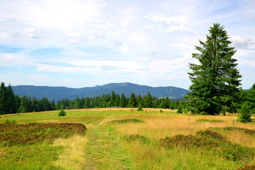 Beautiful mountain landscape in the national park Sumava. View on the mount Jezerni hora and Spicak. Czech Republic.