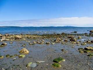 Rocky shore of Island View Beach at the low tide, Vancouver Island, BC Canada
