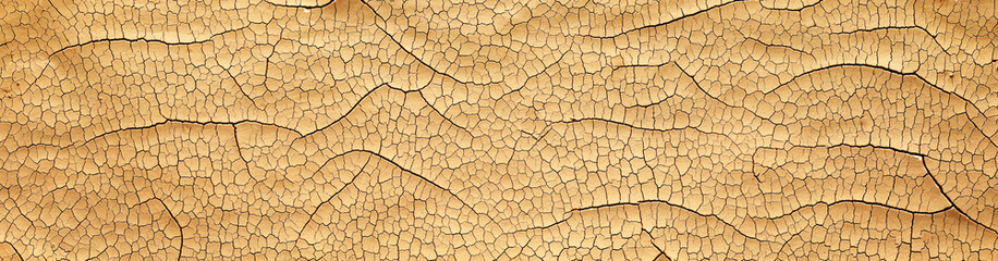 Detailed cracked soil showing a dry desert land scorched in the heat causing cracks. Global warming...