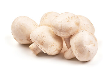 Champignons, close-up, isolated on white background