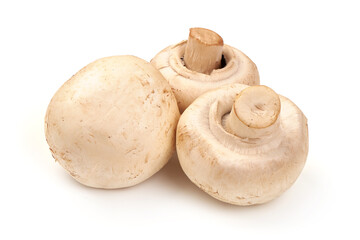 Champignons, close-up, isolated on white background