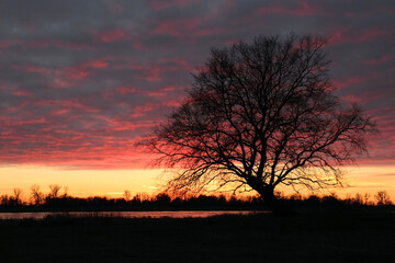 Colorful sunset by the Odra River, Poland.