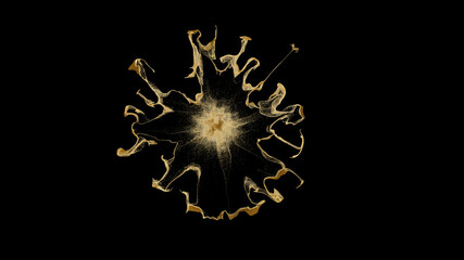 gole_particles 01
