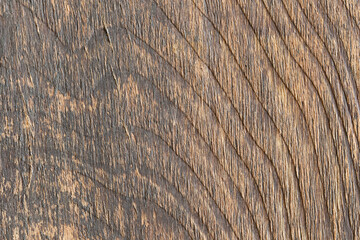 old wooden texture