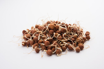 Sprouted Kala Chana or Black or brown Chickpeas - it's a vegan substitute for rich protein and it...