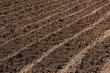 Plowed field. Agriculture, soil before sowing. Fertile land texture, rural field landscape