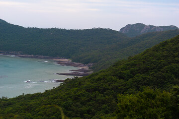 a beach surrounded by jungle in south korea