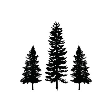 tree pine logo silhouette
