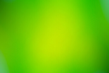 green gradient background / abstract blurry fresh green background