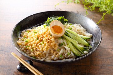 冷やしたぬきうどん