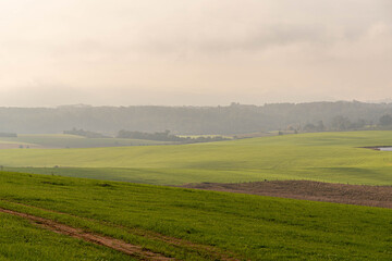 Agricultural production fields at winter dawn in southern Brazil