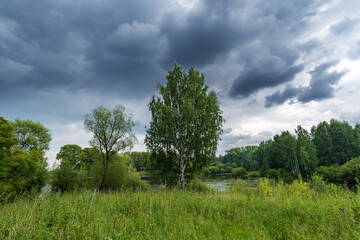 Cloudy summer landscape with trees, lawn, overgrown grass, and lake