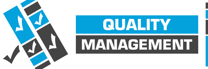 Quality Management Blue Grey Line Boxes Tick Marks 