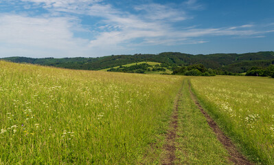 Fototapeta na wymiar Beautiful Bile Karpaty mountains with mix of meadows, hills and forest on czech - slovakian borderlands