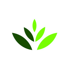vector green leaf