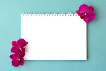 Top view of blank notebook with white pages and bright pink orchid flowers on blue background. Botanical mock up with tropical flowers
