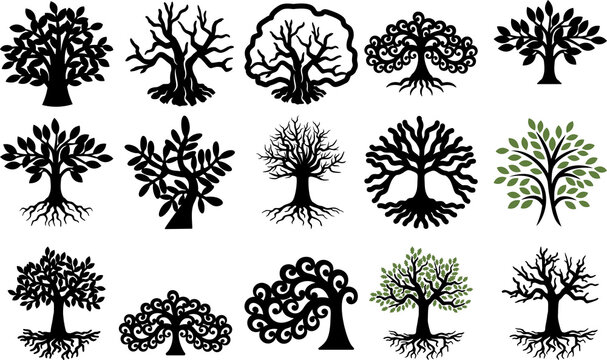 Tree of Life Laser Cutting Template Trees Silhouette
