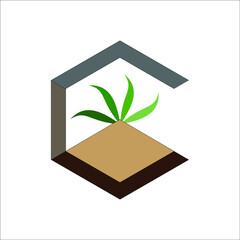 plant in a box