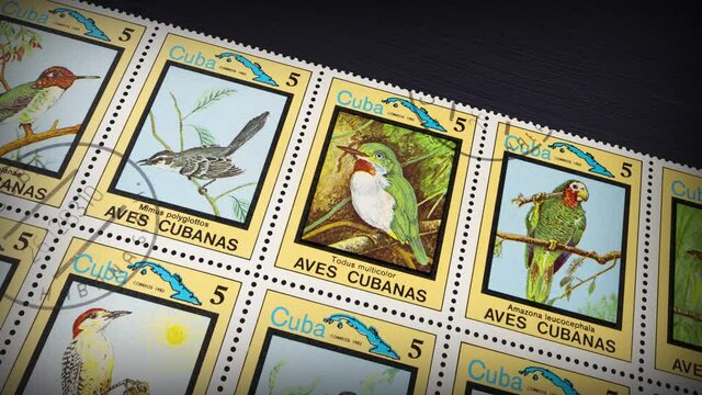 CUBA - CIRCA 1983: A stamp sheet printed in CUBA showing images of birds from the series "Cuban Birds", circa 1983