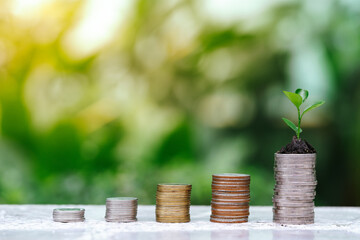 The growth of plants on the pile of coins, increased investment, saving ideas and investing in business