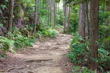 Between Fushiogami-oji and Kumano Hongu Taisha on Kumano Kodo (Nakahechi Route) in Tanabe, Wakayama, Japan. It is part of the UNESCO World Heritage Site.