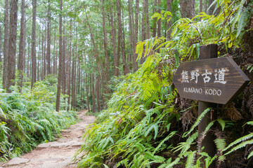 Between Fushiogami-oji and Kumano Hongu Taisha on Kumano Kodo (Nakahechi Route) in Tanabe, Wakayama, Japan. It is part of the UNESCO World Heritage Site.