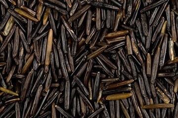 Macro close up of uncooked, raw, black wild rice grains texture flat lay top view
