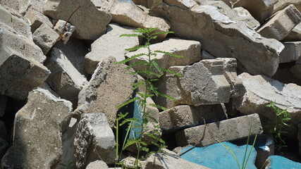 Brick scrap on the construction site