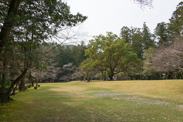 Oyunohara at Kumano Hongu Taisha in Tanabe, Wakayama, Japan. It is part of the 