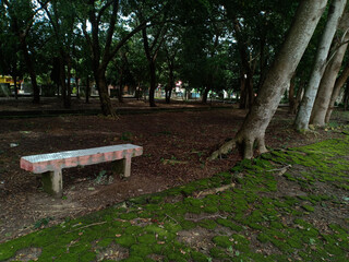 brick sitting chairs in a city park