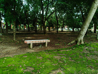 brick sitting chairs in a city park