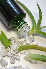 SPA composition of Aloe Moisture serum in the bottle and Aloe Vera isolated against white background. Organic anti-aging cosmetics for skin care. Medicinal plants and antioxidants 