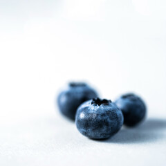 Beautiful blueberry close up background with deep shadows