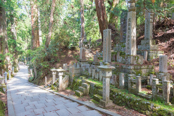 Okunoin Cemetery at Mount Koya in Koya, Wakayama, Japan. Mount Koya is UNESCO World Heritage Site.
