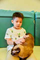 Child playing with cat at home  in living room interior,Kids and pets. Little boy