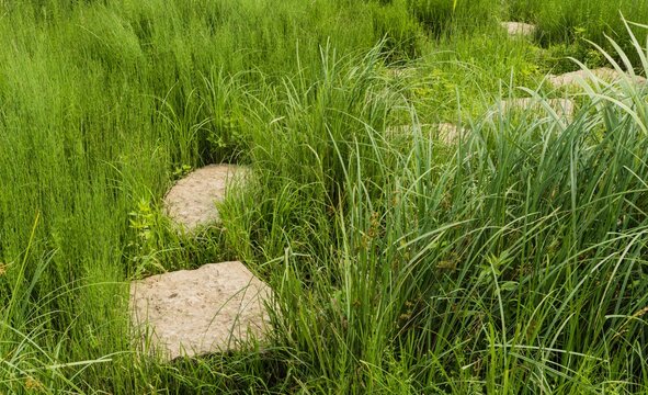 Teichweg Steingarten 