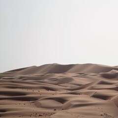 sand dunes in the liwa desert