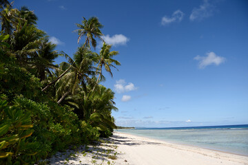 Obraz premium Sunny deserted tropical sandy beach with coconut trees and clear blue seas in Guam, Micronesia