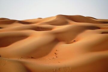 Fototapeta na wymiar highlights and shadows in sandy dunes in desert