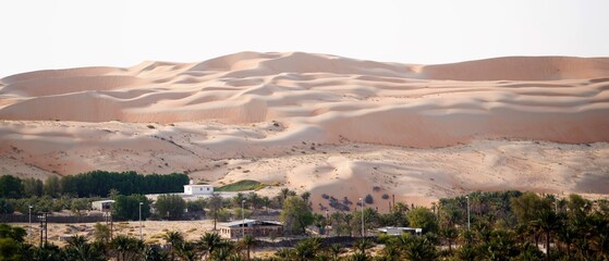 sand dunes in the desert