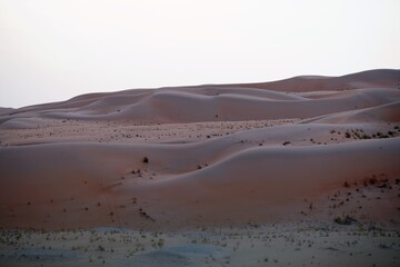 Fototapeta na wymiar sand dunes landscape in the desert