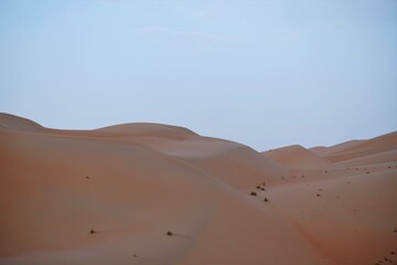Fototapeta na wymiar sand dunes in liwa desert
