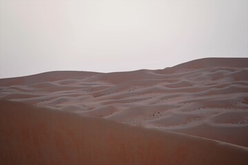 sunset in the desert