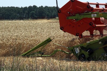 modern harvester in action filed grain summertime