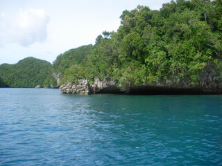 Fototapeta na wymiar tropical island in the sea